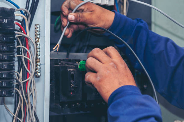 Best Electrician for Home Renovation  in Van Meter, IA